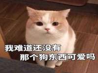 上海众津网络科技有限公司