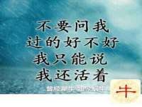 上海众津网络科技有限公司