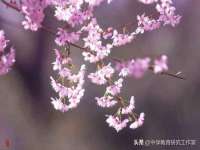 上海众津网络科技有限公司
