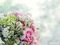 上海众津网络科技有限公司