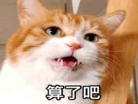 上海众津网络科技有限公司