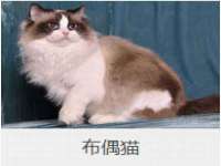 上海众津网络科技有限公司