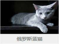 上海众津网络科技有限公司