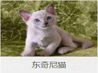 上海众津网络科技有限公司