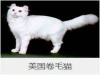 上海众津网络科技有限公司