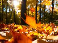 上海众津网络科技有限公司