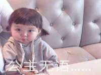 上海众津网络科技有限公司