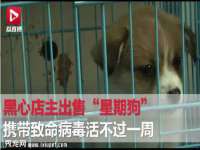 上海众津网络科技有限公司