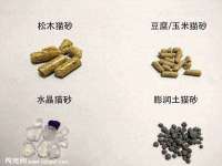 上海众津网络科技有限公司
