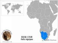 上海众津网络科技有限公司