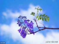 上海众津网络科技有限公司