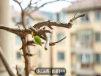 上海众津网络科技有限公司