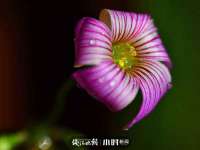 上海众津网络科技有限公司