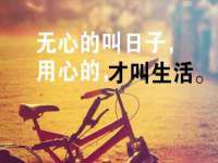 上海众津网络科技有限公司