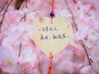 上海众津网络科技有限公司