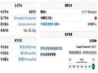 上海众津网络科技有限公司