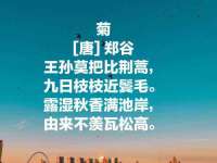 上海众津网络科技有限公司
