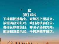上海众津网络科技有限公司