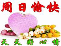 上海众津网络科技有限公司