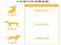 上海众津网络科技有限公司