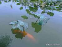 上海众津网络科技有限公司