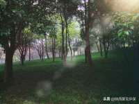 上海众津网络科技有限公司