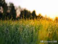 上海众津网络科技有限公司