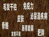 上海众津网络科技有限公司