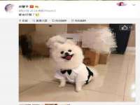 上海众津网络科技有限公司