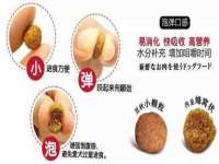 上海众津网络科技有限公司
