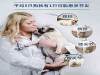 上海众津网络科技有限公司