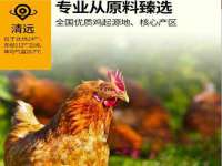 上海众津网络科技有限公司