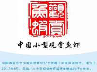 上海众津网络科技有限公司