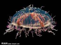 上海众津网络科技有限公司