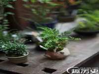 上海众津网络科技有限公司