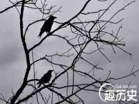 上海众津网络科技有限公司
