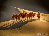 上海众津网络科技有限公司