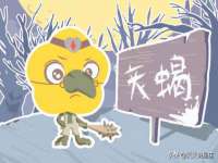 上海众津网络科技有限公司