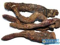 上海众津网络科技有限公司
