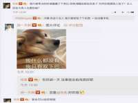 上海众津网络科技有限公司