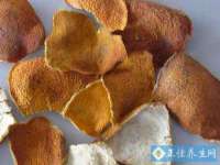 上海众津网络科技有限公司