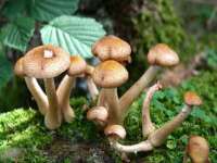 上海众津网络科技有限公司