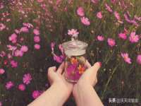 上海众津网络科技有限公司