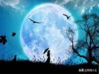 上海众津网络科技有限公司