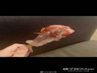上海众津网络科技有限公司